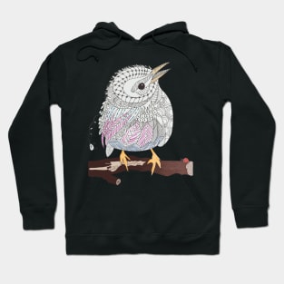 Little Bird Hoodie